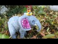 Nacho Meets Macy The Elephant