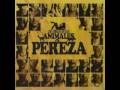 Pereza Superjunkies 