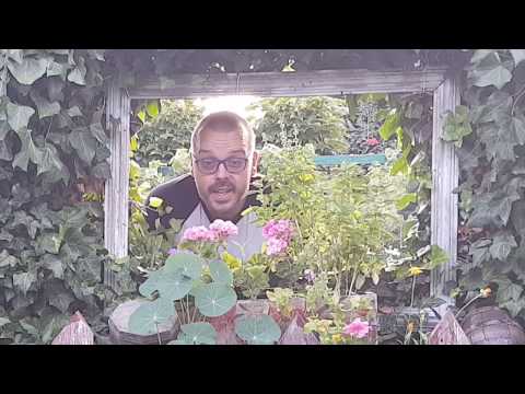 Kings of Mead odc. 74 - Eksperyment , jak smakują miody po fermentacji?