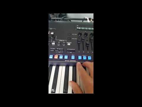 KorgPa4x Mg2 Vilar Pro Vs Genos