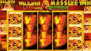 π₯ HUGE BIG WIN SLOT on Wild Life Extreme π
π¦ | BONUS & FREE SPINS JACKPOT! π€π°