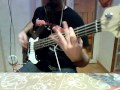 Guano Apes - You can't stop me (Bass cover ...