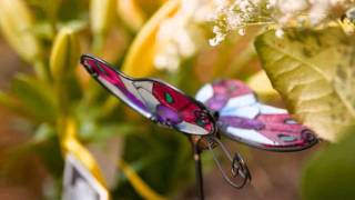 My Love - Nan Vernon and Dave Stewart