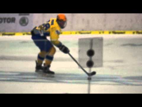 Nájezd - Nicolas Werbik