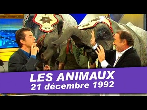 Coucou c'est nous - Ca trompe énormément - Claude Brasseur