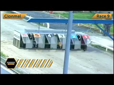 Swords Rex - Larry O'Rourke National Produce Stakes Round 2 - Heat 3