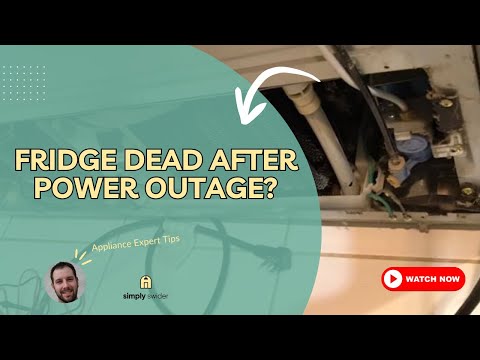 Fridge Dead After Power Outage? Fix It in 10 Minutes!