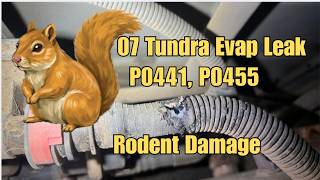 07 Toyota Tundra Check Engine Light: P0441, P0455 Evap Leak. Rodent Damage!!