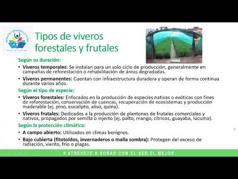 𝐂𝐔𝐑𝐒𝐎 𝐃𝐄 𝐀𝐂𝐓𝐔𝐀𝐋𝐈𝐙𝐀𝐂𝐈𝐎́𝐍: INSTALACIÓN Y MANEJO DE VIVEROS FORESTALES Y FRUTALES