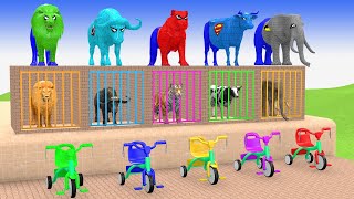 Long Slide Game With Cow Elephant Gorilla Hippopotamus Tiger 3d Animal Game Funny 3d Animals