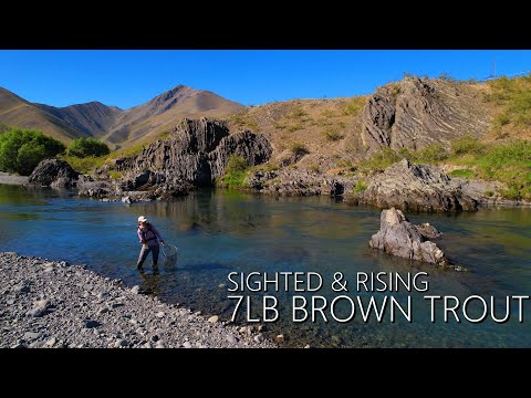 Fly Fish New Zealand High Country - Sighting & Fly Fishing Rising 7lb Brown Trout