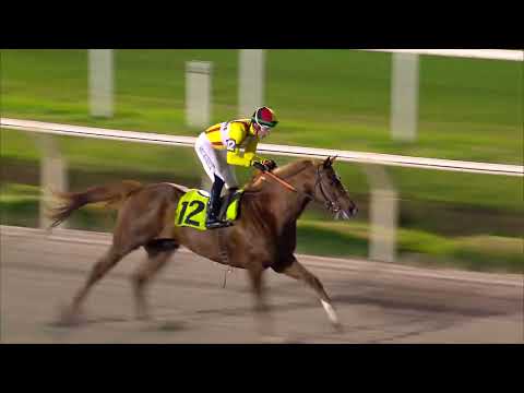 230806 c10 HEREDERO SHOW