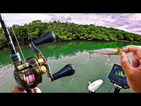 The BEST Way to Catch a Barra!