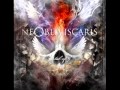 Ne Obliviscaris - Of The Leper Butterflies 