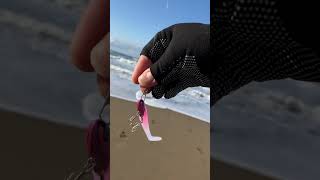 ルアーで三回目の釣り