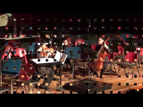 Tutti|String orchestra repertoire|HCISO