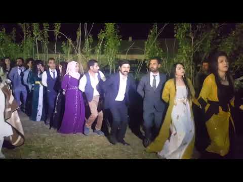 Hozan reşo gewer hem çalar hem söyler 2017