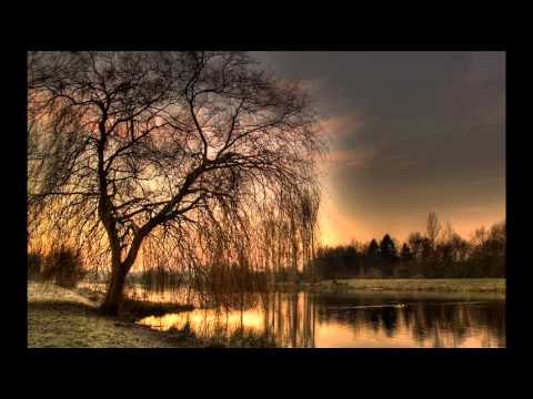 tyDi feat  Tania Zygar Why do I Care Walsh & McAuley Mix