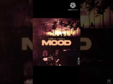 Tiakola ft. Liim’s - MOOD ( Son Complet)