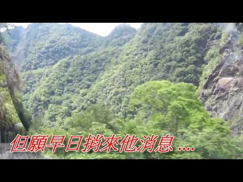 林桓文