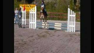 elvira madigan in memorial