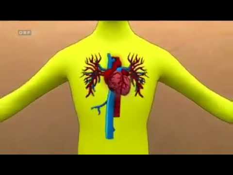Treffpunkt Medizin - Gabel statt Skalpell - Doku