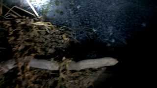 colder than the planet Mars Tonight !