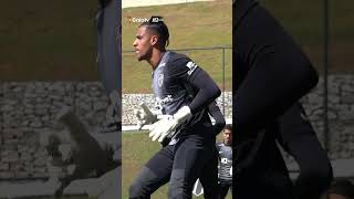 GALO FOCADO no REMO!