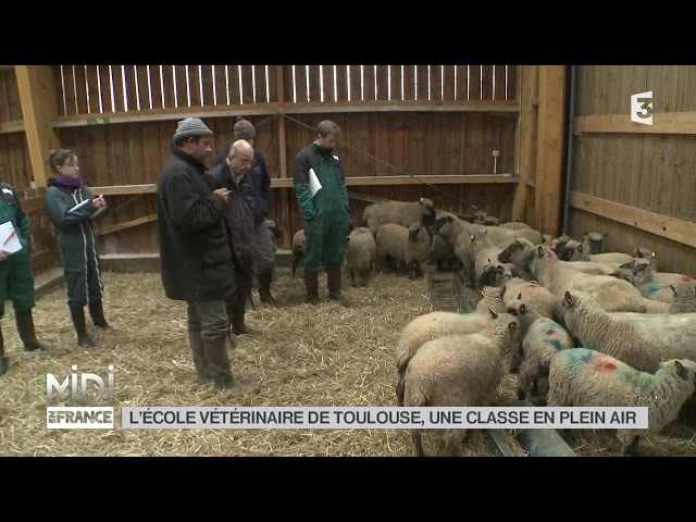 National Veterinary School of Toulouse video #1