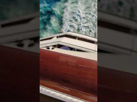 Thumbnail for Inside Disney’s Dream Cruise Ship: The Ultimate Family Vacation Experience