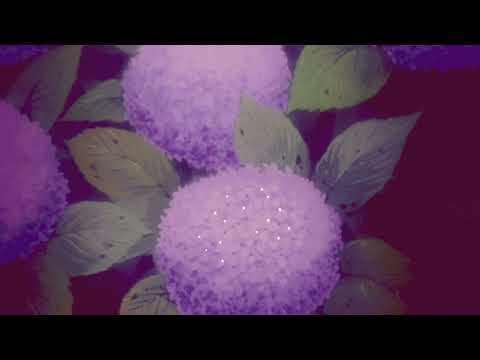 [FREE] fats'e x 93feetofsmoke type beat - time will tell (prod. dead spyro)