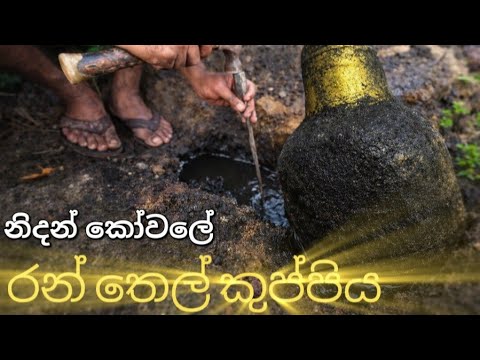 කෝවක සගවා තිබූ ඉපැරැණි බලගතු රන් තෙල් කුප්පිය 😧 #hunterboy #treasure 