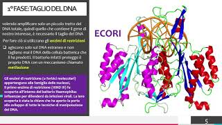 LA TECNICA DEL DNA RICOMBINANTE