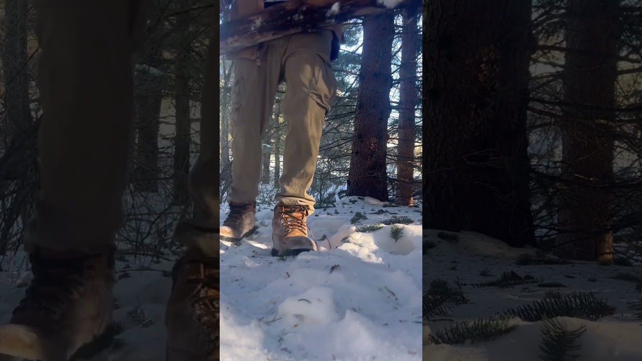 The hard part about logging no one sees #firewood #logging #bluecollar