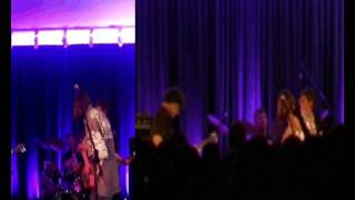 The Mafia stole my guitar - The Fantastic Mohren Blues Band