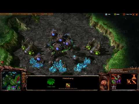 Starcraft 2 Beta Best of Gameplays - 2v2 Zerg & Terran (SC2 Pro Battle Net in HD)