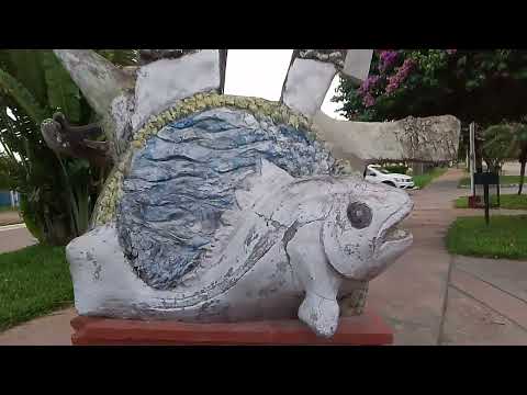 Herradura!! Trabajo práctico de postproducción de video Ispaf 2025