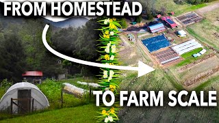 Scaling-up from Homestead to Farm Business | Roundtable w/ Cedar Chest Farm & Wild East Farm