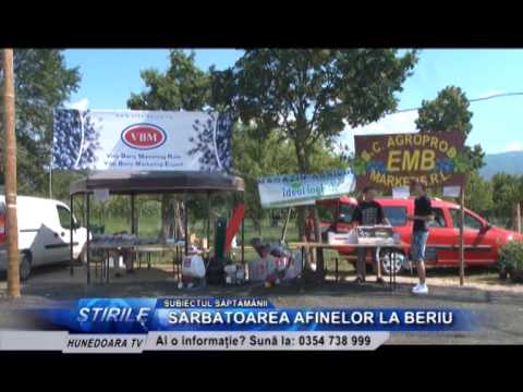 SĂRBĂTOAREA AFINELOR LA BERIU