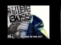 my video on shide boss 
