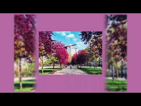 FREE - "Field Full of Dreams" Saba x Ghetto Sage x Noname type beat