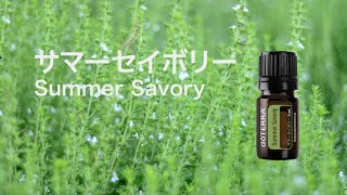 サマーセイボリー