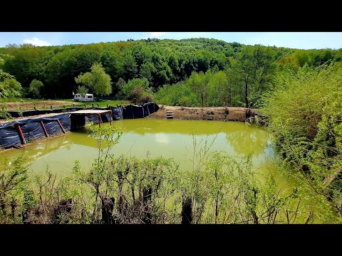 BALTA DIN GRADINA - TOTUL VERDE SI FRUMOS ! UMPLEM SI BALTA MICĂ