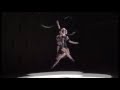 Aerial Act 4023
