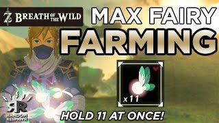 Zelda: Breath of the Wild -  MAX FAIRY FARMING - (Hold 11 Fairies at Once!)