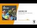 Shooting Star | Overwatch Soundtrack: Animated Shorts