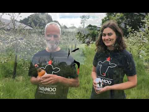 Silly Moo Trenchmore Cider: Stable Cider Awards 2019