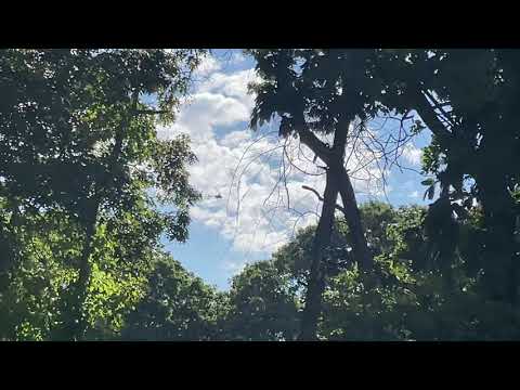 Foreflight Robinson R66 Turbine (FFL322, N112DW) flying over my house