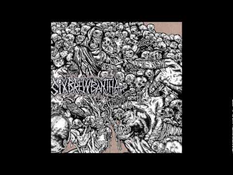 Six Brew Bantha - Violence Fuels Hatred