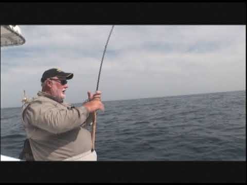 Kingfish Frenzy: Epic Angling Adventure Part 3 - M1R1 Navy Tower